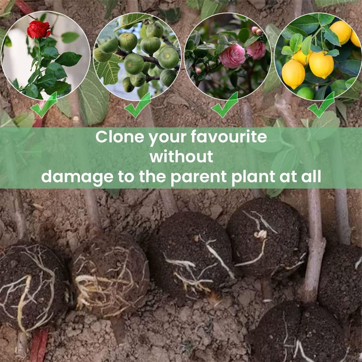 Rooting Balls Pack of 5 with Pot Mix Combo b9bzkp-un