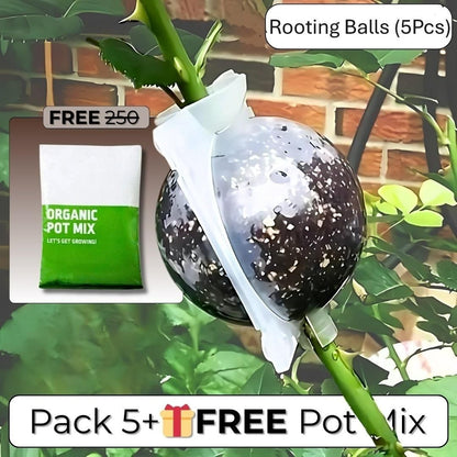 Rooting Balls Pack of 5 with Pot Mix Combo b9bzkp-un