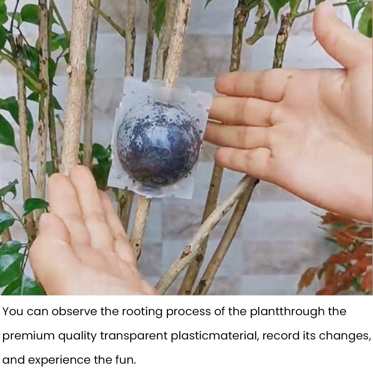 Rooting Balls Pack of 5 with Pot Mix Combo b9bzkp-un