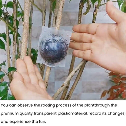 Rooting Balls Pack of 5 with Pot Mix Combo b9bzkp-un