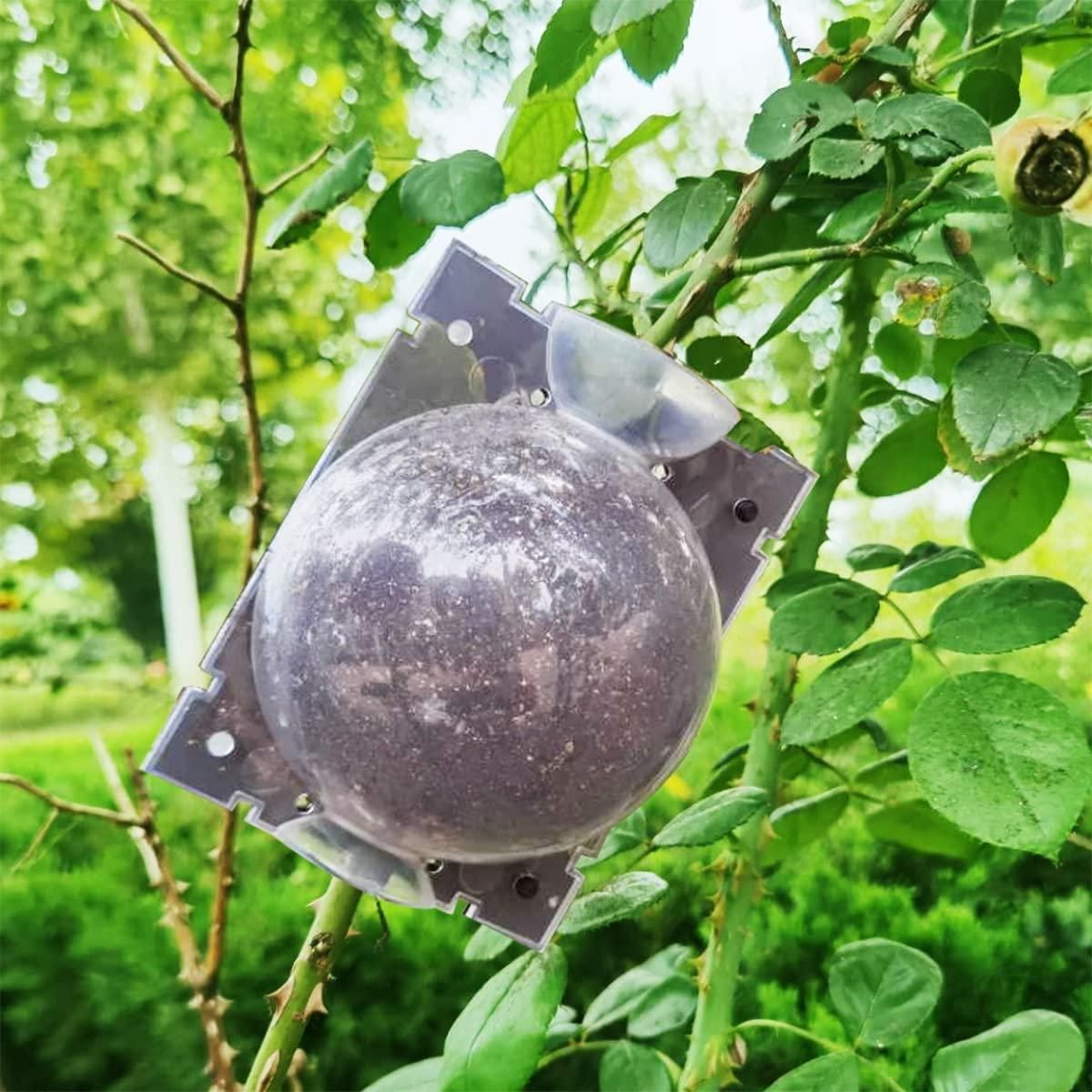 Rooting Balls Pack of 5 with Pot Mix Combo b9bzkp-un